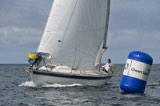 storm free1991t whyw24 thurs whyw24 thur 800 5913